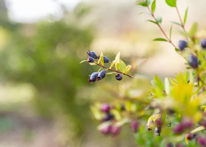 ヴィラ Residenze Corallo Charme E Relax